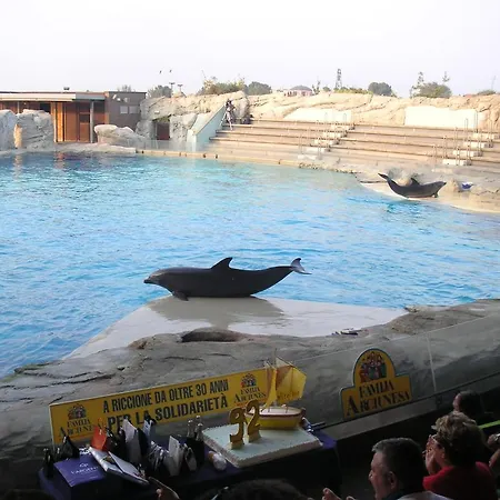 Canasta Ξενοδοχείο